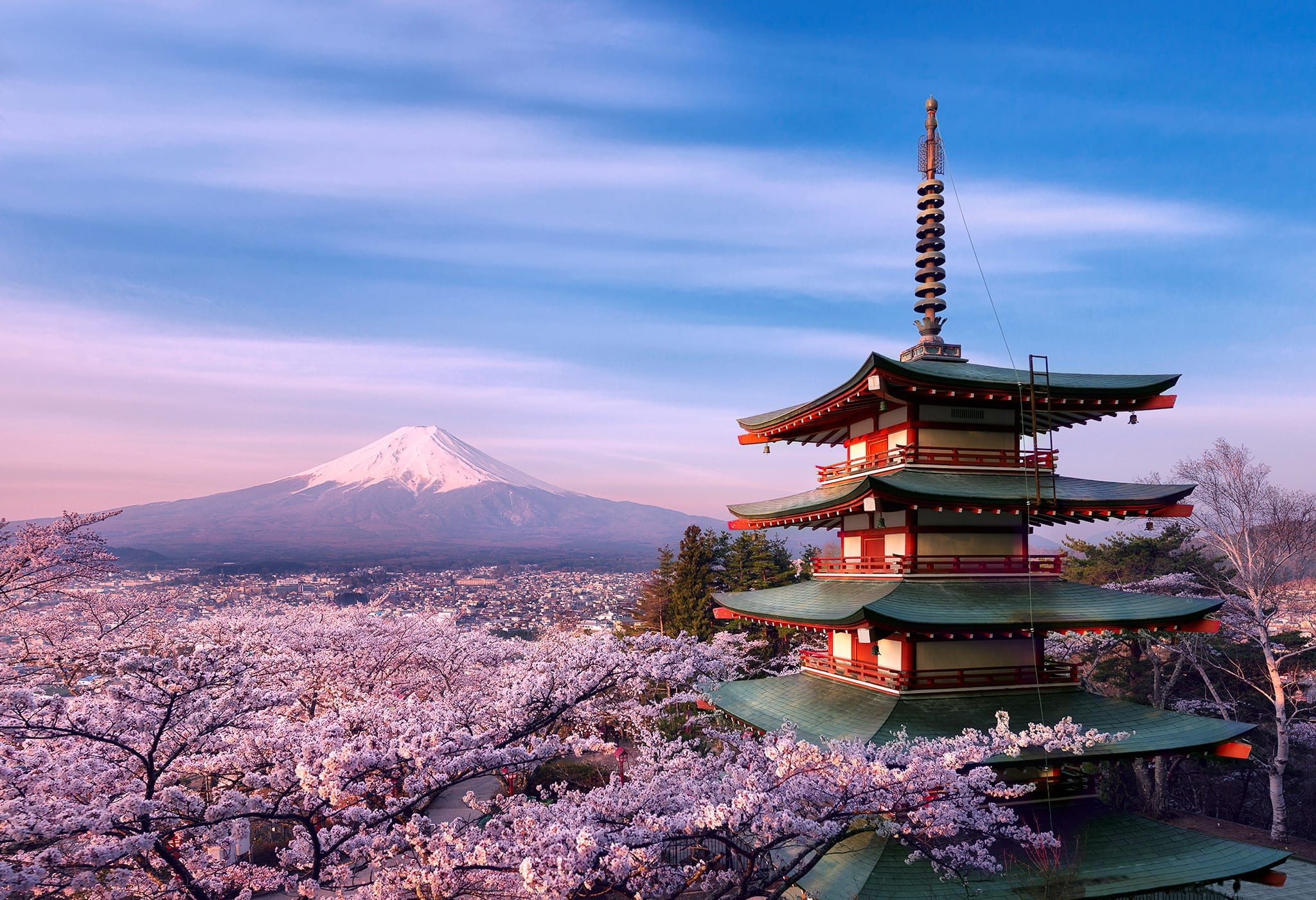 Sakura Season: How To Perfect Cherry Blossom Trips To Japan... - God Save Points